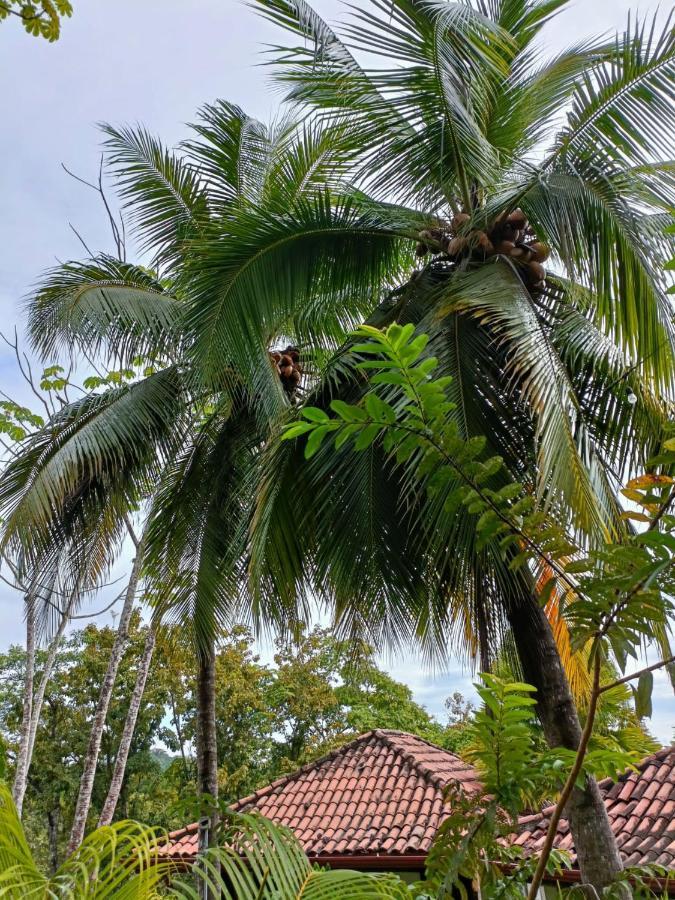 Finca Los Caballos Монтесума Екстериор снимка