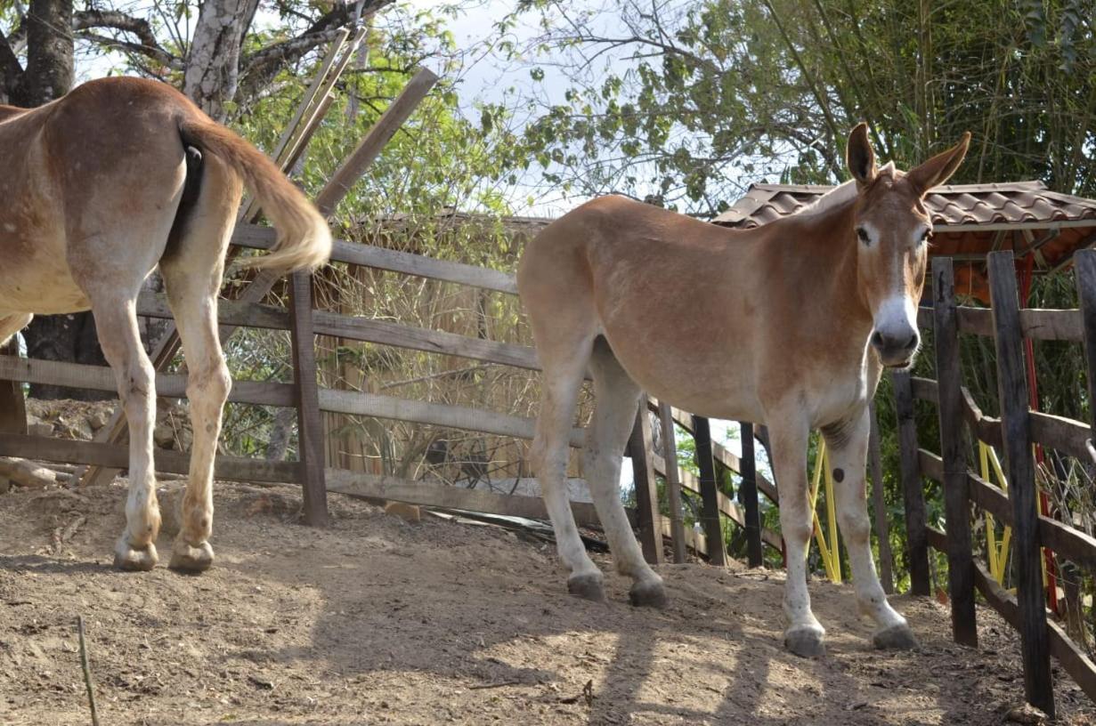 Finca Los Caballos Монтесума Екстериор снимка