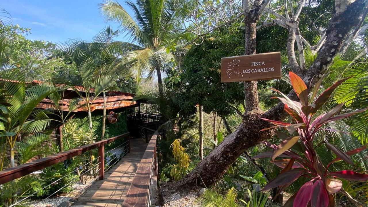 Finca Los Caballos Монтесума Екстериор снимка