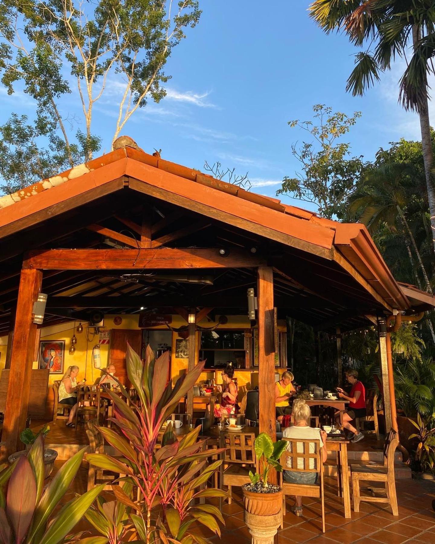 Finca Los Caballos Монтесума Екстериор снимка