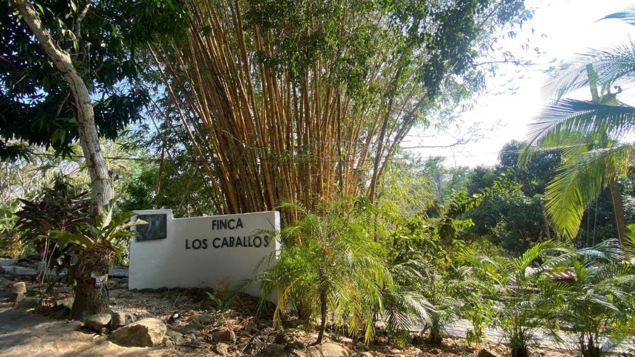 Finca Los Caballos Монтесума Екстериор снимка